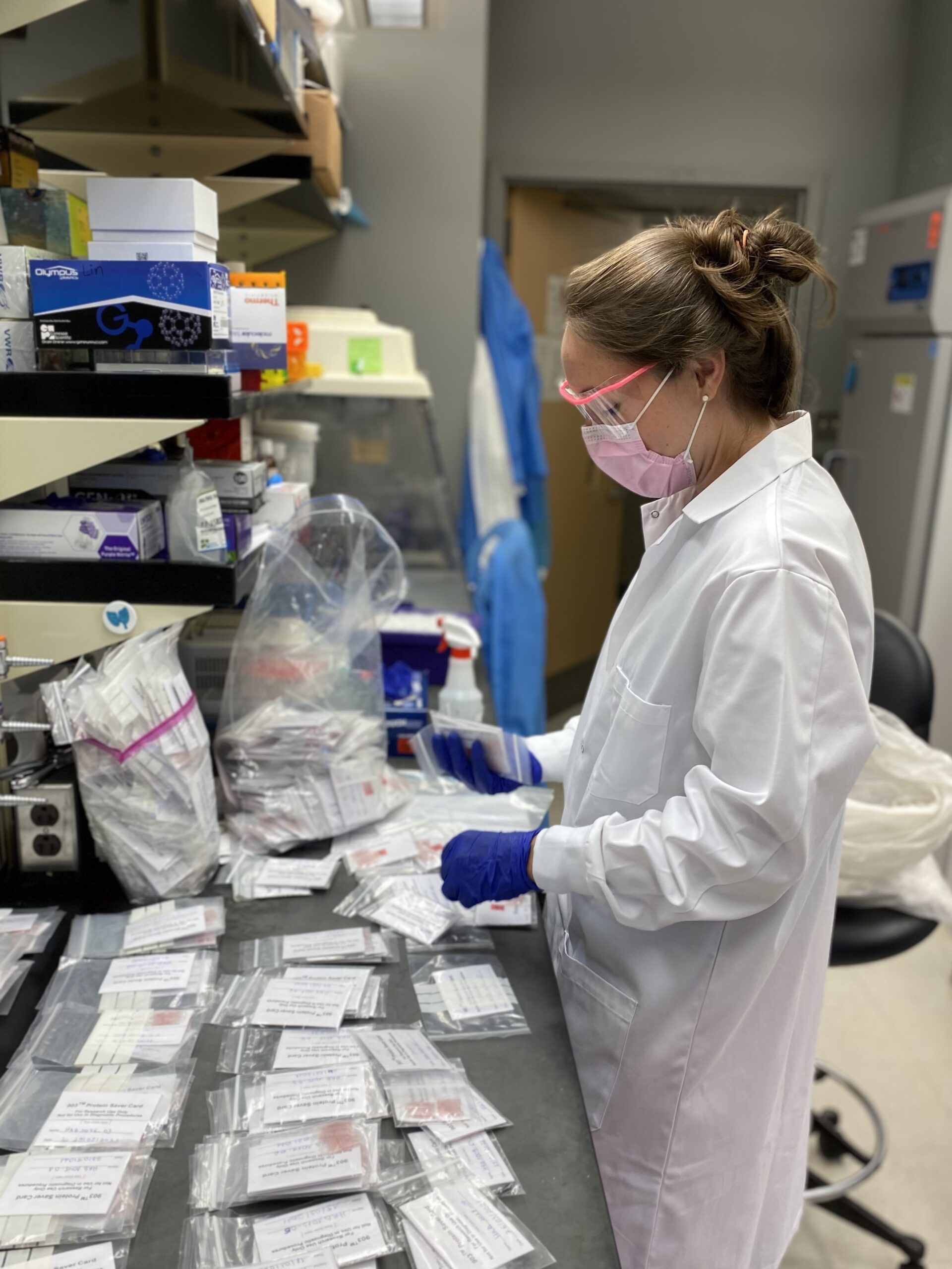 MD-PhD student Camille Morgan processes samples from her study of HBV transmission in the DRC