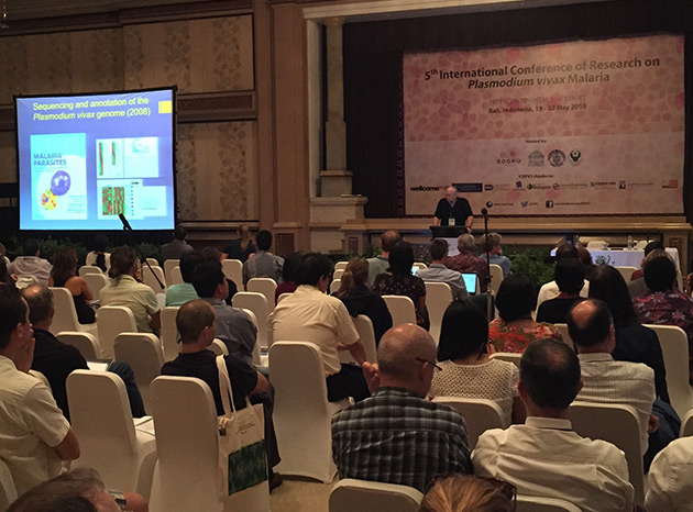 IDEEL@UNC Investigators Participate at the 5th International Vivax Conference, Bali 2015