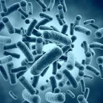 Alterations in the composition of gut bacteria can have a significant impact on a person’s health.