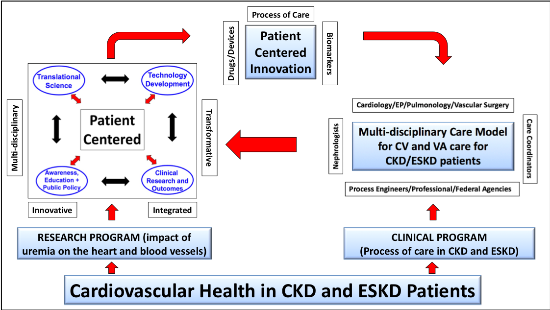 Cardiovascular Health in CKD and ESKD Patients