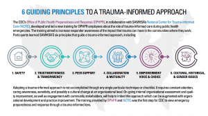 guiding-principles-trauma-informed-approach