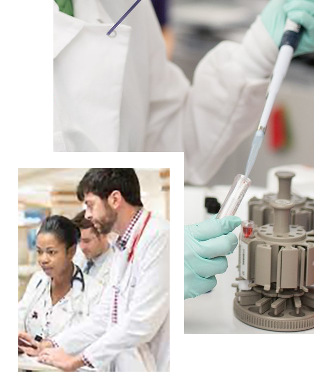 Photo collage of researchers in a lab