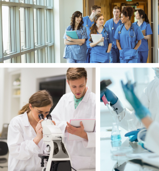 Photo collage of medical students walking down hospital hallway and in a lab doing research.