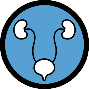 Urology-icon