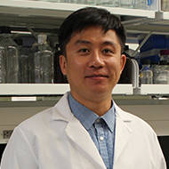Lu Yu, Ph.D.