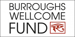 Burroughs Wellcome Fund 