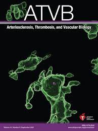 Arteriosclerosis, Thrombosis, and Vascular Biology (ATVB) 