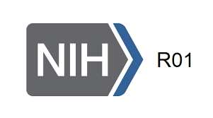 National Institutes Of Health's (NIH) R01