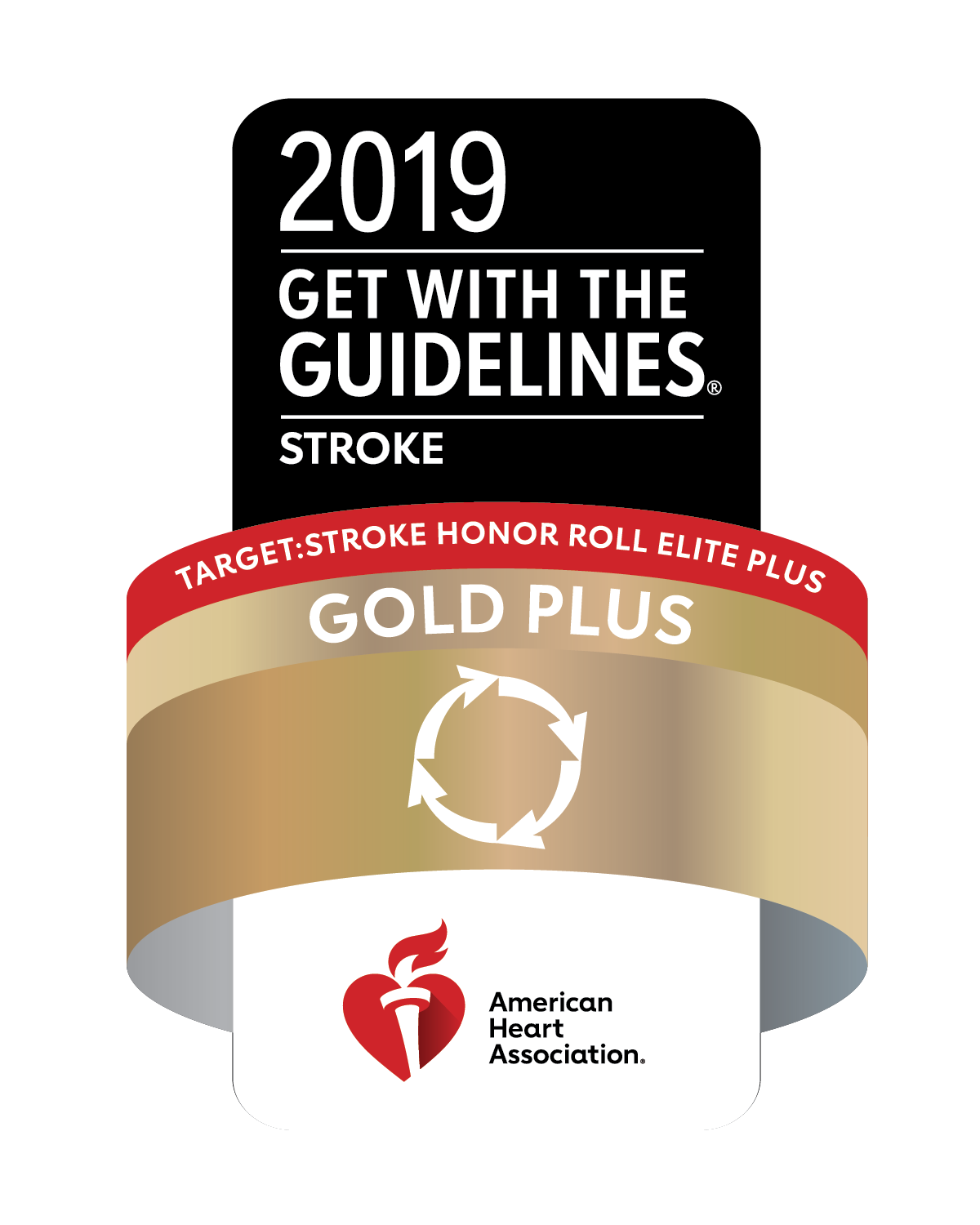 Get With The Guidelines - Stroke 2019