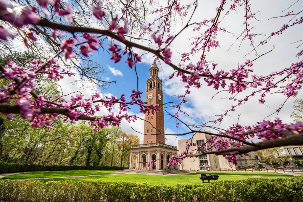 Bell Tower in the spring