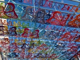 Butterfly Garden at NC Children's Hospital