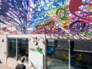 Butterfly Garden at NC Children's Hospital