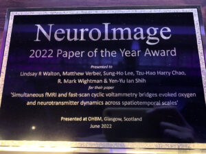 NeuroImage Award 2022