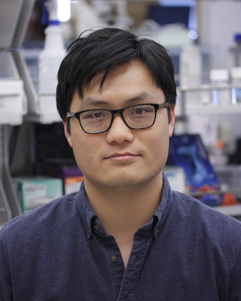 Jiakun Chen, PhD