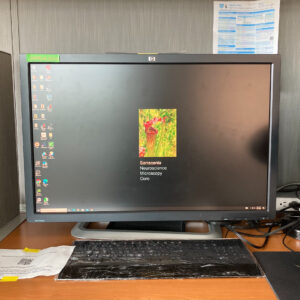 Windows Analysis Workstation: Sarracenia