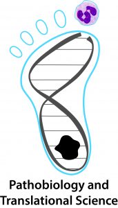 Pathobiology and Translational Science Graduate Program Logo
