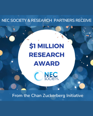 CZI $1 Million NEC Research Award