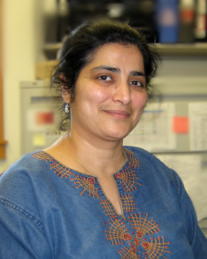 Maimoona Zariwala, PhD