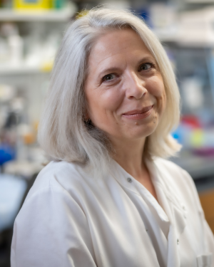 Catherine O'Connell, PhD