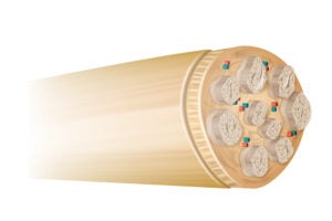 Image showing the peripheral nerves