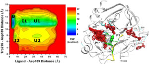 LiGaMD captured repeptitive binding of the benzamidine (BEN) ligand to the trypsin model protein, which enabled us to characterize the ligand binding free energy profiles, pathways and kinetic rate constants.