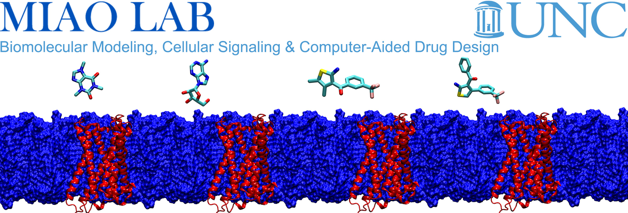 UNC MIao Lab: Biomolecular Modeling, Cellular Signaling & Computer-Aided Drug Design.