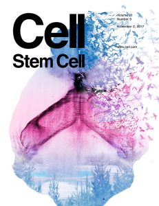 The Cell Stem Cell Cover which was recognized as one of five Best Covers in 2017!