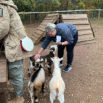 Feeding Goats at Spring Hill Goat Farm