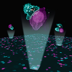 Smart Lattice Light Sheet Cover Image Nat Meth Vol21 Issue2 by by UNC researchers, Yu Shi and Wesley Legant
