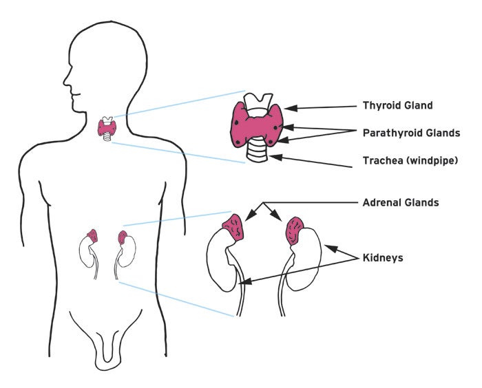will angina go away on its own or with treatment