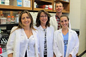 Dr. Longobardi's lab team study cellular changes involved in osteoarthritis.