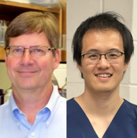 Drs. Richard Loeser and Michael Miao