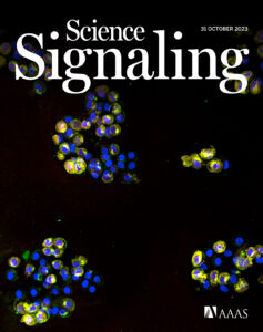 Science Signaling (Vol. 16, Issue 809, 31 Oct 2023)