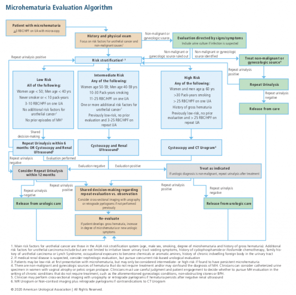 New 2020 AUA Hematuria Guidelines Department of Urology