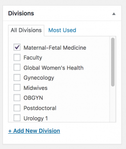 Example of the Divisions options.
