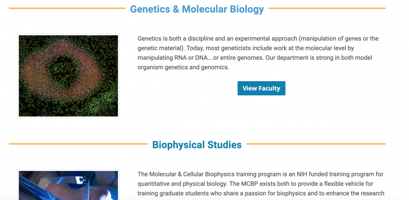 Example of the Stylized Title on the Biochemistry website. 