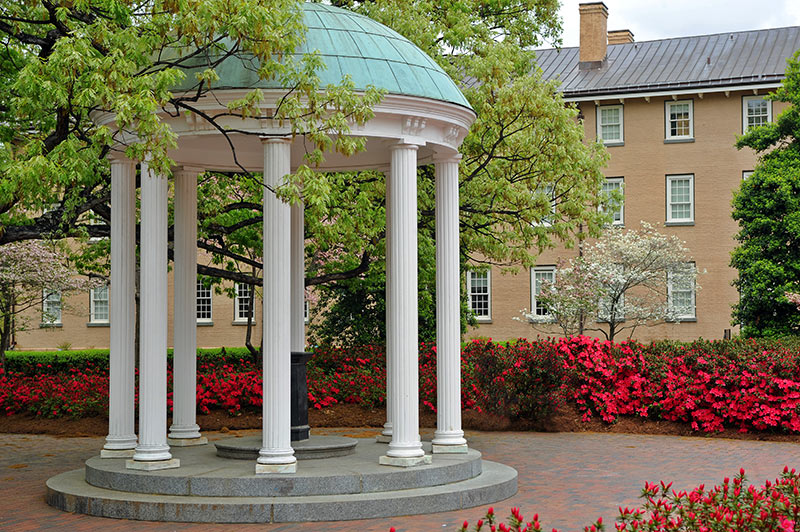 Example image of Old Well in Spring with the trees and bushes in full bloom.