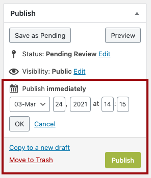 screenshot of where the date and time options are for publishing content are located.