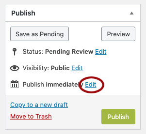 screenshot showing where to edit the publishing date.
