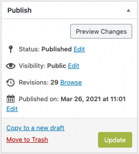Screenshot of the Update button, located within the Publish options.